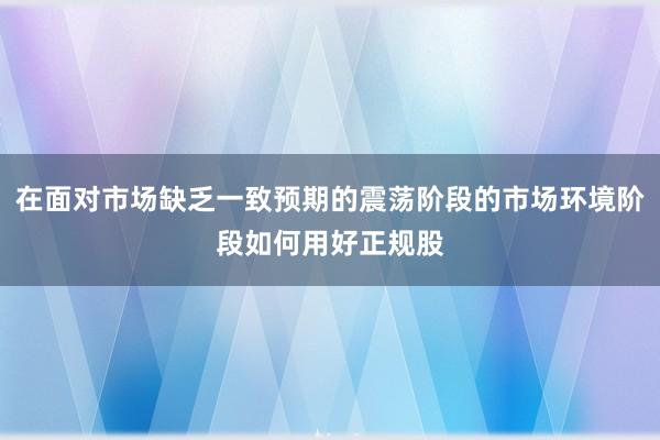 在面对市场缺乏一致预期的震荡阶段的市场环境阶段如何用好正规股