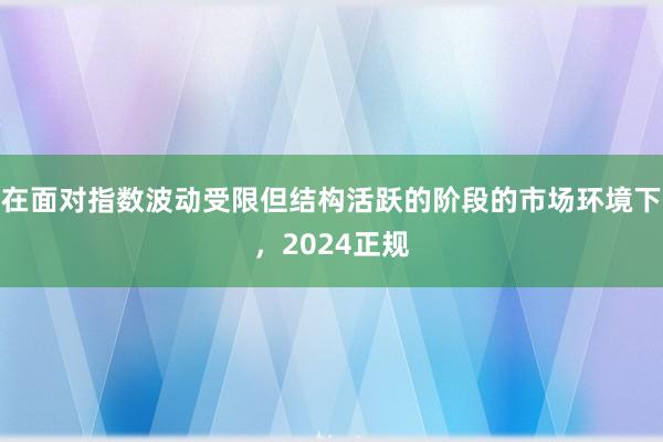 在面对指数波动受限但结构活跃的阶段的市场环境下,2024正规