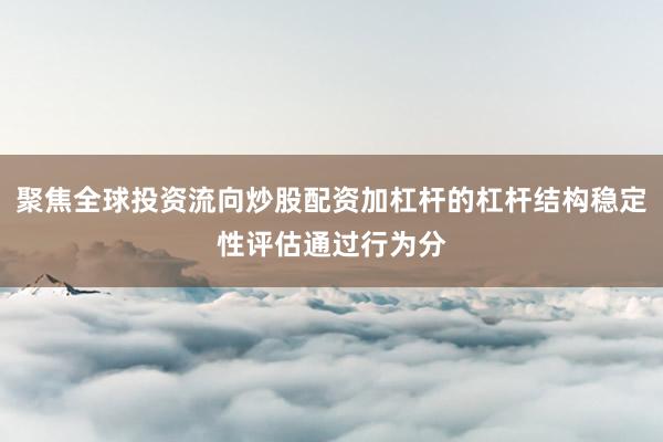 聚焦全球投资流向炒股配资加杠杆的杠杆结构稳定性评估通过行为分