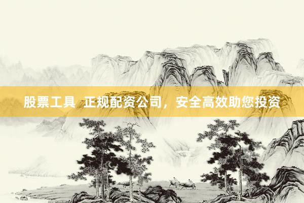 股票工具  正规配资公司，安全高效助您投资
