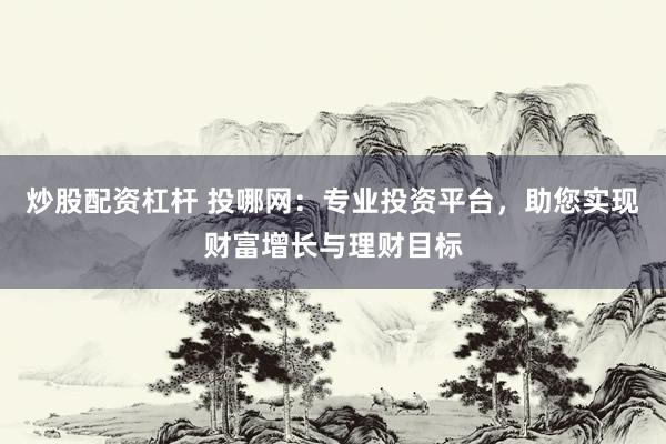 炒股配资杠杆 投哪网：专业投资平台，助您实现财富增长与理财目标
