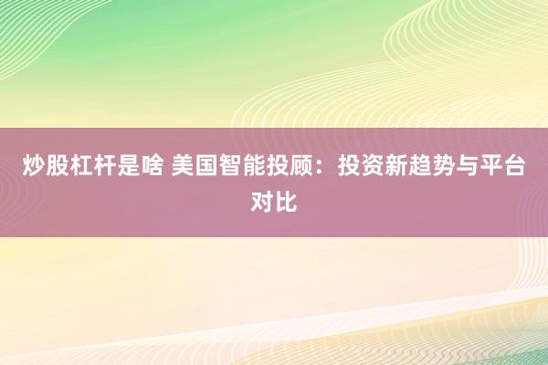 炒股杠杆是啥 美国智能投顾:投资新趋势与平台对比